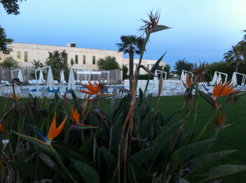 Arthotel & Park Λέτσε Εξωτερικό φωτογραφία